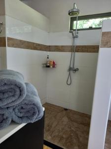 a bathroom with a shower with towels on a counter at ARIIMOE Hava'e in Teahupoo