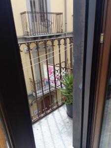 a view of a balcony with a plant at Bed and Breakfast Baobab in Piazza Armerina +16 photos