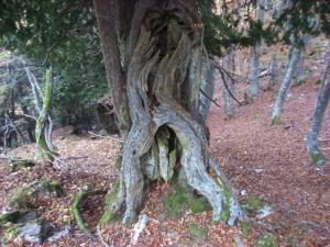 Paisaje cerca of this country house