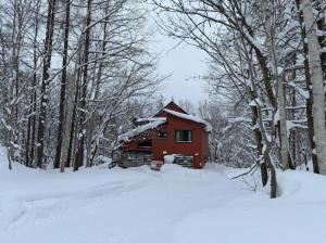 a red cabin in the snow in the woods at Yama Chalet in Rankoshi