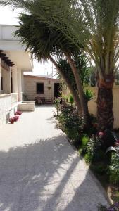um pátio com palmeiras e flores em frente a um edifício em Villa Ginevra em Porto Cesareo