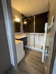 a bathroom with a shower and a sink and a tub at Champoiseau in Tours +9 photos