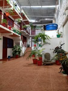 Fotografie z fotogalerie ubytování Hotel El Turista v destinaci San Agustín