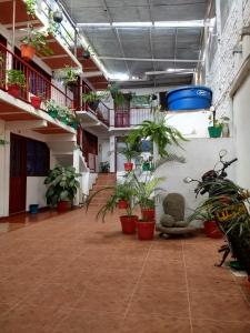 a room filled with lots of potted plants at Hotel El Turista in San Agustín