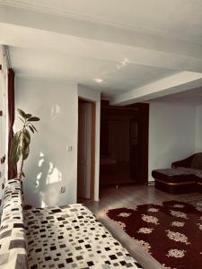 a living room with a bed and a couch at Casa Rariana in Călimăneşti
