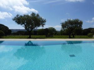 a swimming pool with trees in the background at Residence Les Sellettes in Saint-Tropez