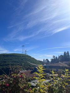 a view of a hill with a blue sky at Manjosila Homestay in Mirik