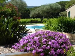 a garden with purple flowers next to a swimming pool at Residence Les Sellettes in Saint-Tropez