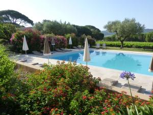 a swimming pool with umbrellas and flowers at Residence Les Sellettes in Saint-Tropez