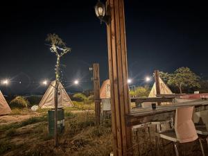 a group of tents in a field at night at חאן הכנסת אורחים B''H village שומר שבת in Nevatim