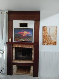 a living room with a fireplace with a flat screen tv at Chez Francine in Le Tampon