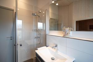 a bathroom with a sink and a shower and a mirror at Ferienhaus Strandpark 41 in Grömitz