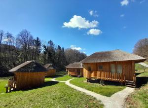 a group of huts in a field with a path at Glamping Bionic healing village in Slovenska Bistrica