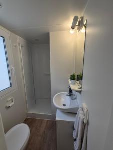 a bathroom with a sink and a toilet and a mirror at Glamour Pakoštane Mobile Home in Pakoštane +29 photos
