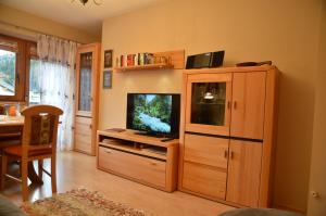 Televízia a/alebo spoločenská miestnosť v ubytovaní Ferienwohnung Möderndorfer, Fulpmes