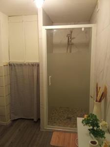 a bathroom with a shower and a glass door at Le cocon en Champagne in Avize +2 photos