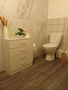 a bathroom with a toilet and a dresser at Le cocon en Champagne in Avize