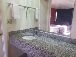 a bathroom counter with a sink and a mirror at Masters Inn I-26 in Cayce