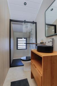 a bathroom with a sink and a toilet and a mirror at Le Cilodge - La Villa Lodge au cœur de Cilaos in Cilaos +10 photos