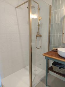 a shower with a glass door next to a sink at Chambre d'hôtes - Retour à la ferme in Verteillac +16 photos