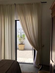 a bedroom with a door open to a potted plant at Acacia Home in Graaff-Reinet