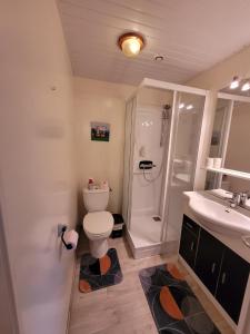 a bathroom with a toilet and a shower and a sink at le lieu jeanne in Auvers