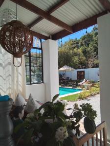 a patio with a potted plant and a hanging light at Acacia Home in Graaff-Reinet