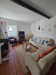 a living room with two couches and a fireplace at Casa dos Pocinhos - Férias tranquilas no campo in Torres Novas