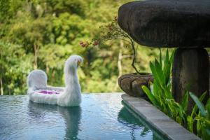 two white swans are sitting in the water at Kastara Resort in Ubud