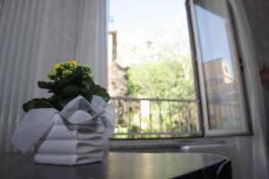 a plant sitting on a table next to a window at The Corner Tivoli in Tivoli
