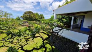 a view of a house with a garden at The North House by Ponta Negra Azores in Biscoitos