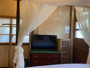 a bedroom with a bed with a canopy and a tv at Lane 82 Homestay in Chiayi City