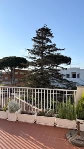 a white fence with some plants and a tree at b&b la terrazza in Lido dei Pini +8 photos