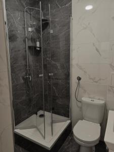 a bathroom with a glass shower with a toilet at Studio Apartman Tara in Daruvar