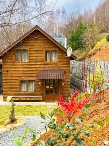 ein Holzhaus mit einem Garten davor in der Unterkunft Cabana Backyard in Plopi
