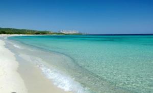 a beach with turquoise water and white sand at ALMA'RE Le Trame di KaSa Experience in Porto Ottiolu