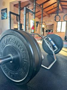 two dumbbells on the floor of a gym at Villa Giulia apartment Assisi in Castelnuovo