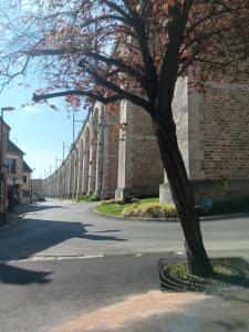 a tree on the side of a street next to a building at Olembe Garden in Avon