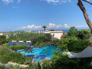 an aerial view of a swimming pool in a garden at Arcadia Case e Vacanze in Lacco Ameno