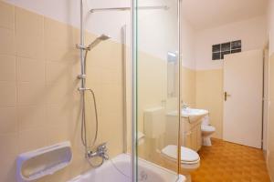 a bathroom with a shower and a toilet and a sink at Al Pianaccio by Lago Reisen in Trarego Viggiona +22 photos