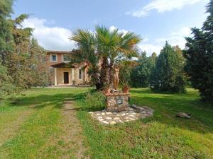 a house with a palm tree in the yard at Orange Ville in Villamassargia