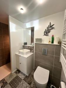 a bathroom with a white toilet and a sink at Le Gîte des petits Loups in Walbourg