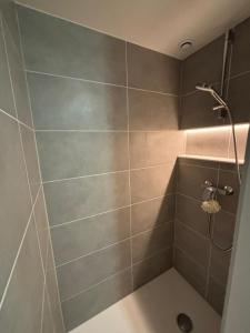 a bathroom with a shower with a tiled wall at Le Gîte des petits Loups in Walbourg
