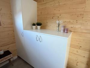 a white cabinet in a room with a wooden wall at Tiny House 1 Strandperle in Freest +19 photos