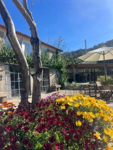 a garden with flowers in front of a building at Casa de Rompecias in Vizela