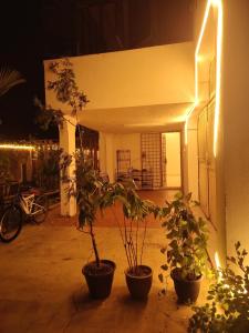 a room with two potted plants and a building with lights at BM Homestay in Bukit Mertajam