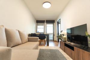 a living room with a couch and a flat screen tv at DouroParadise Apartment in Peso da Régua