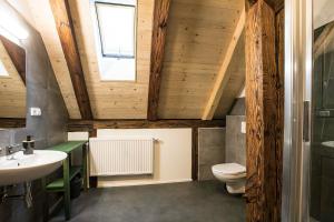 a bathroom with wooden walls and a sink and a toilet at Ubytování V Klenbách in Třeboň +14 photos