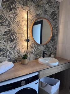 a bathroom with a sink and a mirror at Gîtes les rives de Saône in Saint-Didier-sur-Chalaronne