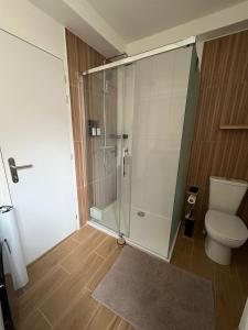 a bathroom with a shower and a toilet at Les Trois Mouettes - Grand appartement familial in Saint-Brieuc